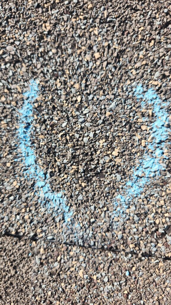 Hail Damage Marked on Shingles, Waukee Waukee hail damage roof strike circled in chalk before replacement
