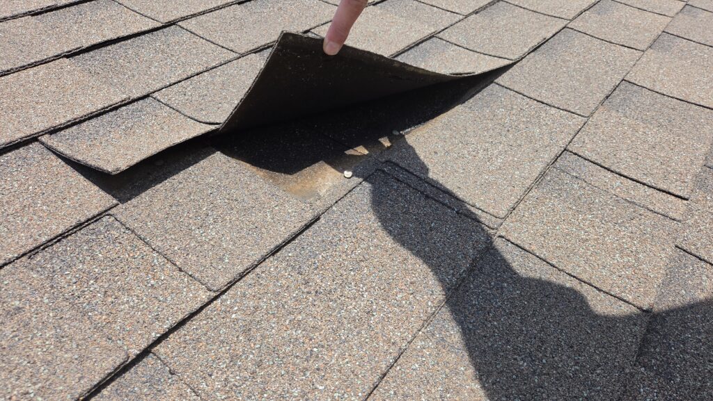 Lifted Shingle Damage on Old Roof, Waukee Lifted shingle on the old roof of a Waukee twin home