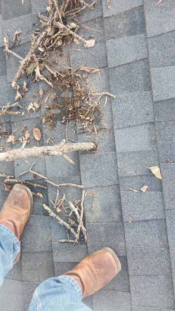 Storm debris and broken branches on an asphalt shingle roof during a damage inspection