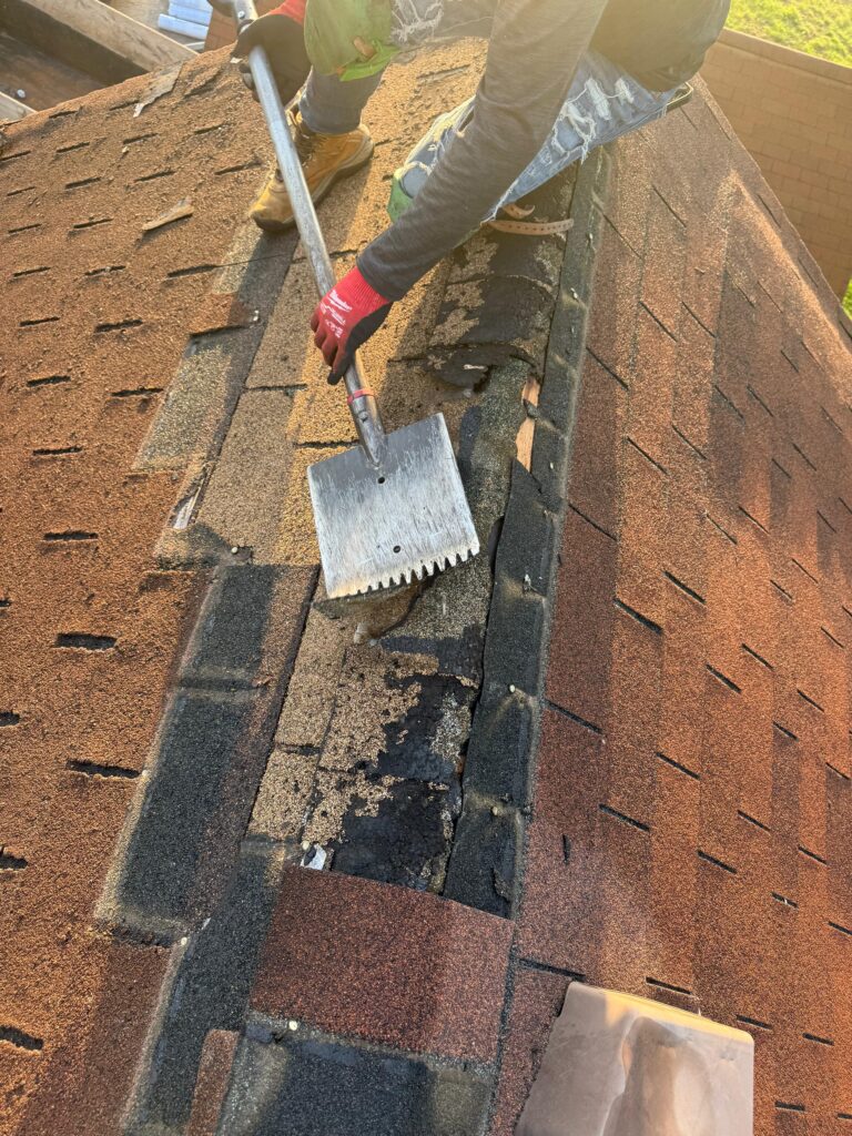 Crew Tearing Off Red Shingles Wolf Roofing crew tearing off red shingles in West Des Moines